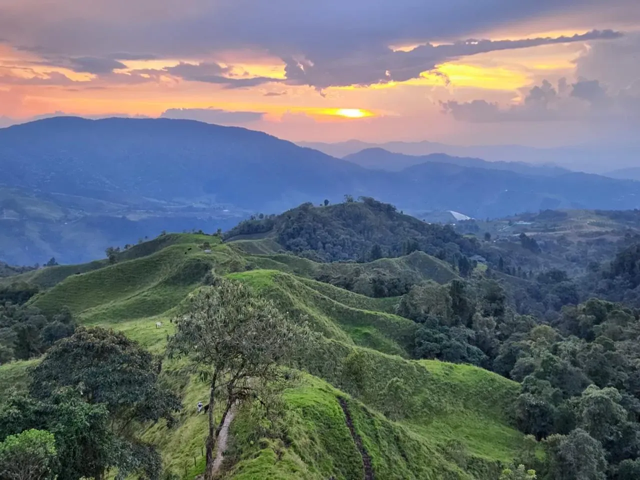 Rio Blanco Eco Lodge - Bosque andino colombiano
