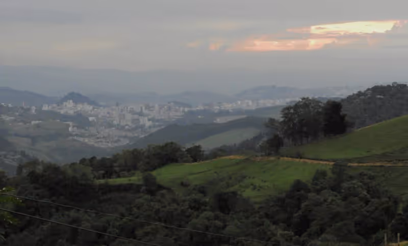 Bosque nuboso de Rio Blanco