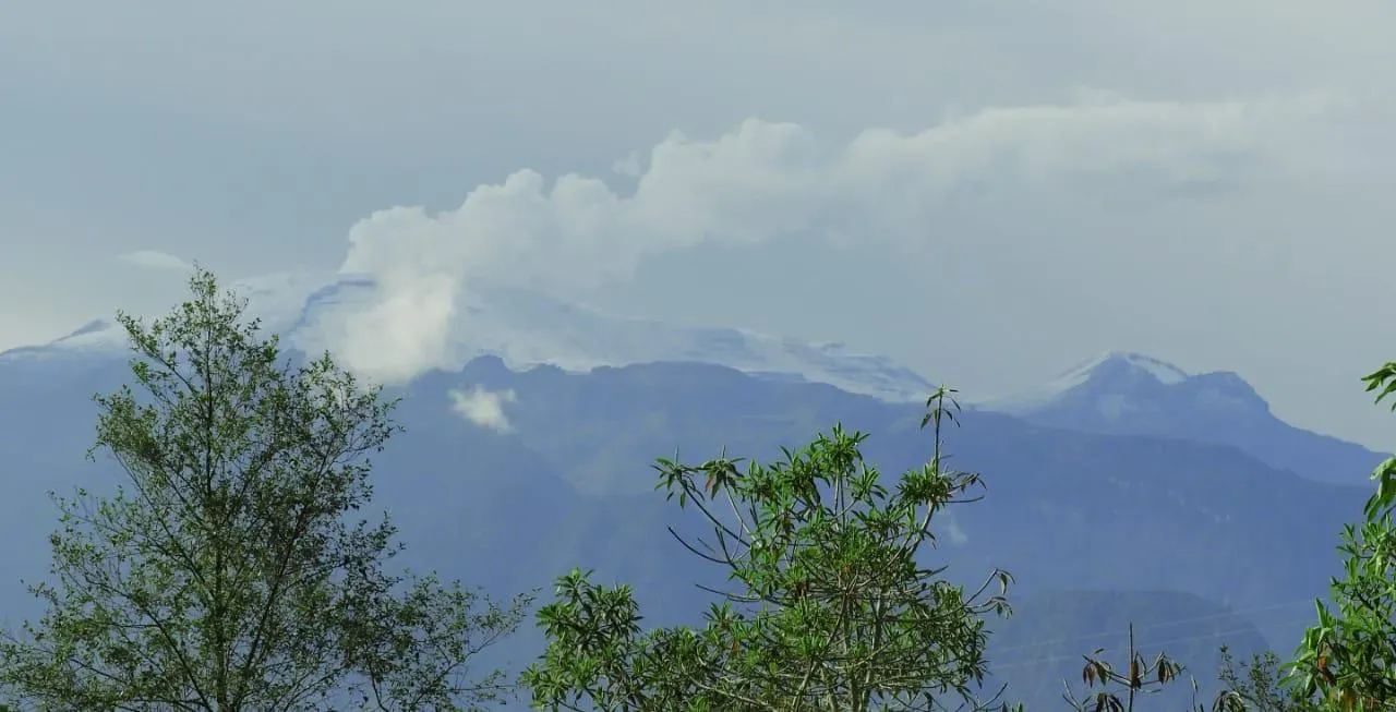 Bosque nuboso de Manizales