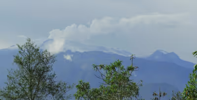 Bosque nuboso de Manizales